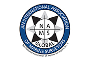 NAMS logo