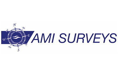AMI Survey