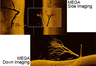 Mega Imaging