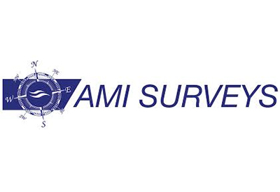 AMI Surveys