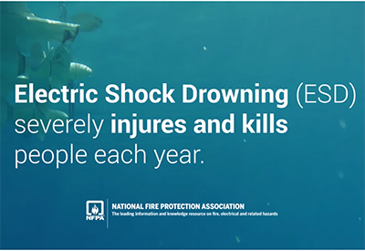 Electric Shock Drowning