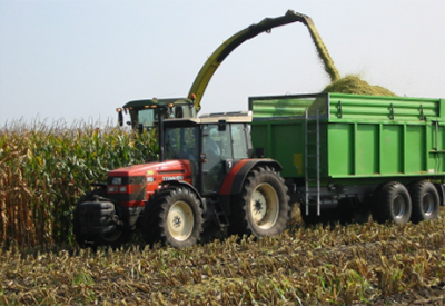 Corn Harvesting E15