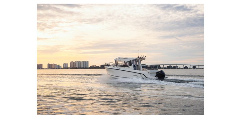 Bayliner Pilothouse