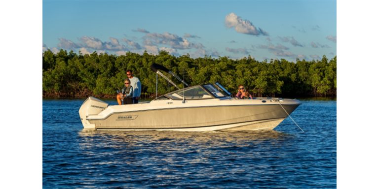 Boston Whaler 210 Vantage